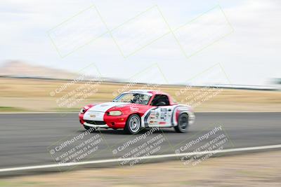 media/May-04-2025-Lucky Dog Racing (Sun) [[21629467aa]]/Turn 9 (115-130pm)/